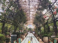 -The Grounds of Alexandria