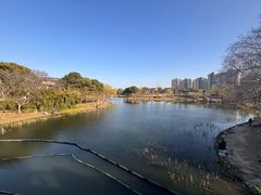 -新江湾城公园