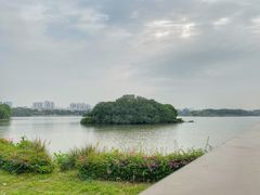 -海珠湖公园