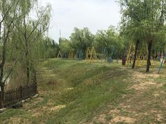 -黄河富景生态世界