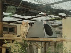-青藏高原野生动物园