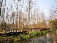 -桤木河湿地公园