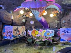 -烟台海昌鲸鲨海洋公园