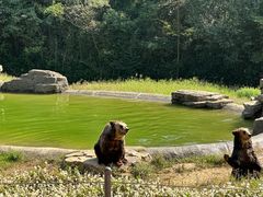 -杭州野生动物世界