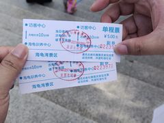-广东惠东海龟国家级自然保护区