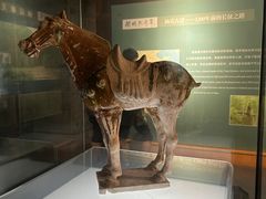-衢州市博物馆