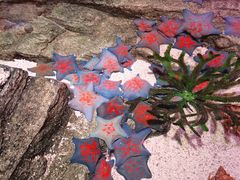 -沈阳海洋探索中心