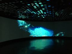 -同济大学四平路校区深海探索馆