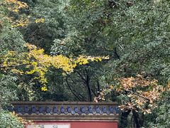 -灵谷景区