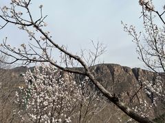 -京东石林峡风景区