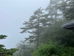 -峨眉山风景名胜区