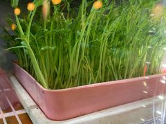 -东椰·海南椰子鸡火锅(朝阳门店)