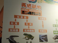 -太奥幻太奇海洋馆