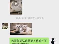 -袖虎·猫馆(体育西路店)