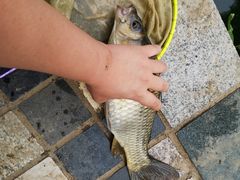 -酷鱼垂钓CLUB(朝阳区博大路店 )