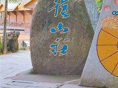 -西双版纳原始森林公园