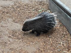 -鄂尔多斯野生动物园