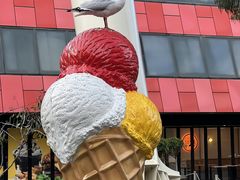 -墨尔本之星 观景摩天轮