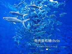 -成都浩海立方海洋公园