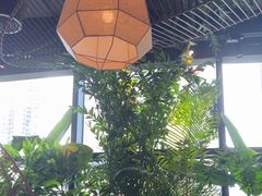 -大头椰·椰子鸡火锅(南宁万象城店)