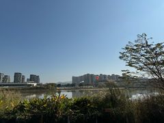 -飞凤山奥体公园