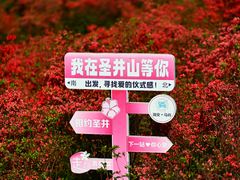 -瑞安圣井山景区