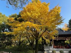 -汇龙潭