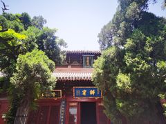 -洛阳白马寺