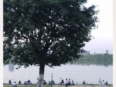 -灞河西岸滨河公园