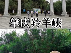 -羚羊峡古栈道森林公园