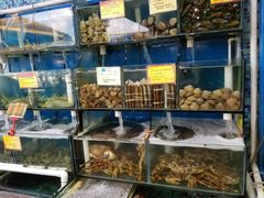 -蚝专家(北滘店)