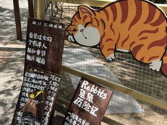 -沂蒙山旅游区云蒙景区(蒙山国家森林公园)