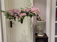 -浙江省中医院(湖滨院区)