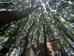 -动邦皮划艇·桨板·独木舟·团建户外运动俱乐部