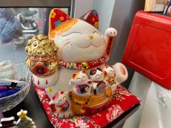 -摩睫+皮肤管理·科学美容中心