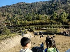 -桃花岭景区