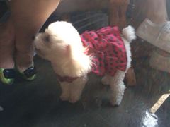 iphone_upload_pic-赢吧Bliss音乐酒吧