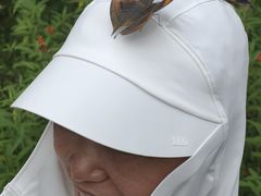 -野象谷景区