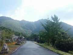 -千岛湖石林