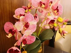 -楚禾宴·家宴(光谷大道店)