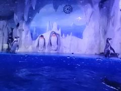 -多彩贵州城极地海洋世界