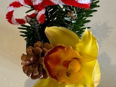 -丽晶美庐·玉兰餐厅