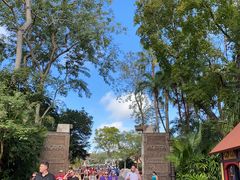 -奥兰多迪士尼动物王国乐园