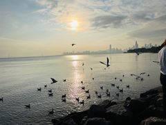 -深圳湾公园(南山区)