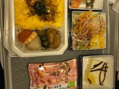 -全日本空输株式会社(上海办事处)