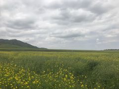 -扁都口生态休闲旅游区