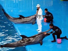 -石林冰雪海洋世界