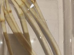 -原鄉本味 楚菜 丹江口鱼(北苑店)