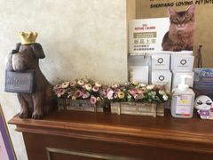 -宠爱国际动物医院· 猫科· 外科·中兽医(长白店)