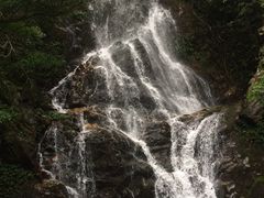 -江西阳明山国家森林公园